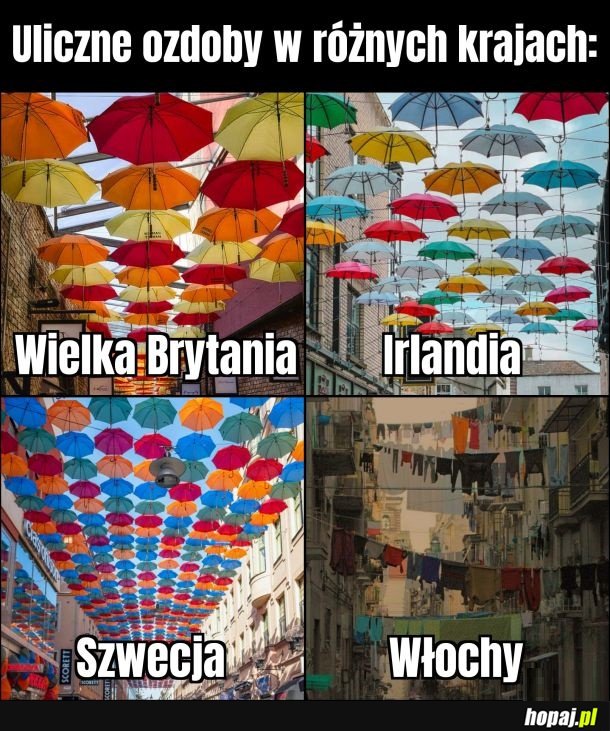 Wszędzie majty