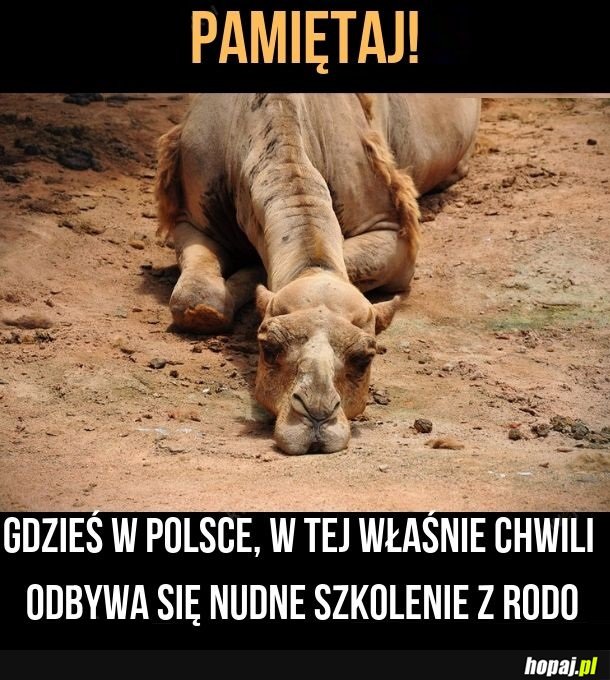 Dane osobowe wielbłąda nie zostaną ujawnione