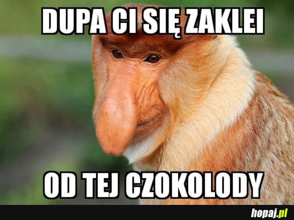 CZOKOLADA