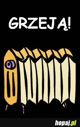 Wreszcie grzeją!