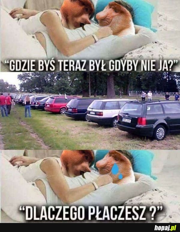 Mogło być tak pięknie
