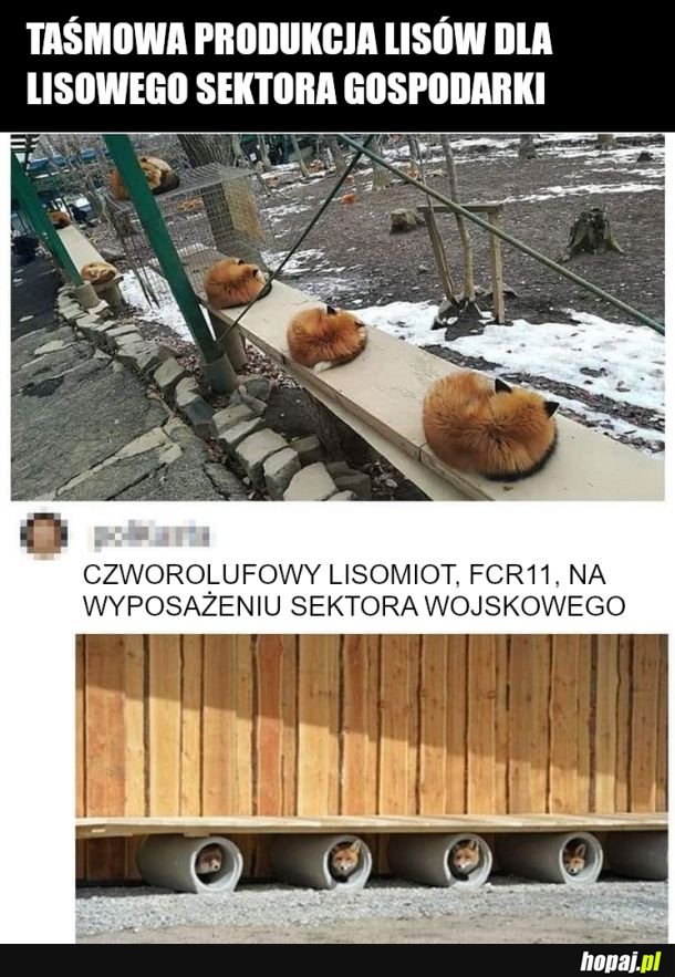 Na wyposażeniu