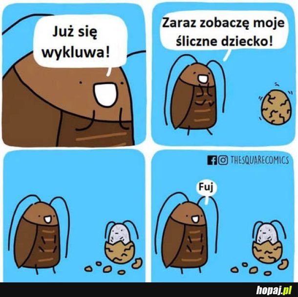 Po kim ta uroda
