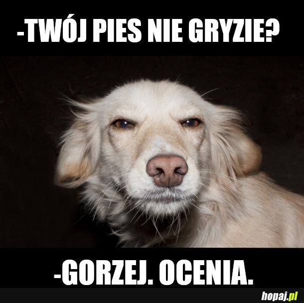 Nic nie robisz 