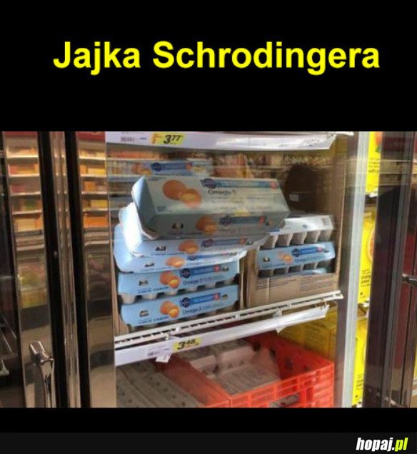 JAJKA SCHRODINGERA