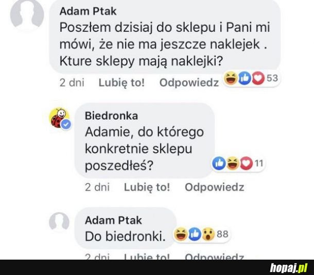 Biedronka