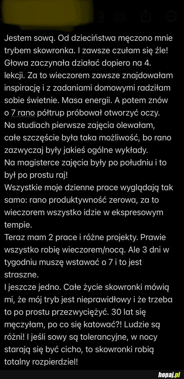 Sowy są zdecydowanie dyskryminowane
