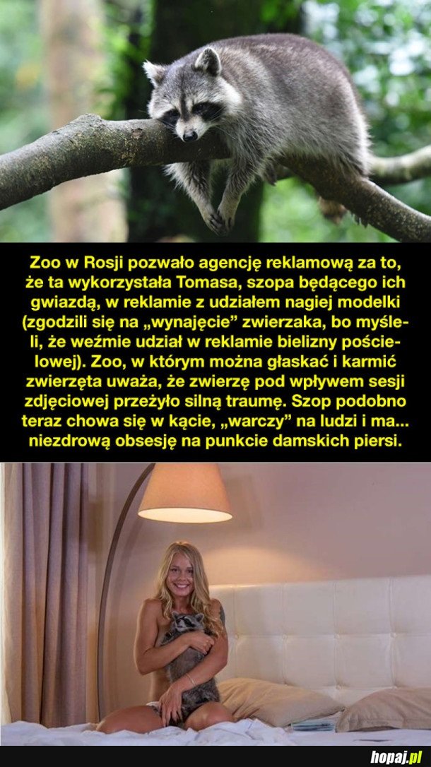 PRAWDZIWA TRAUMA SZOPA