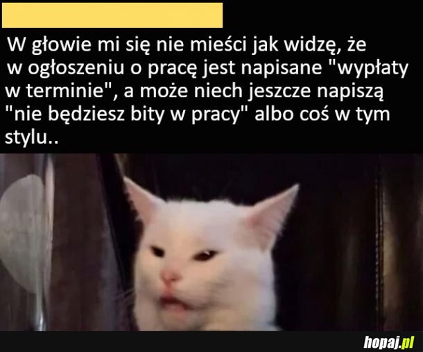 W głowie się nie mieści