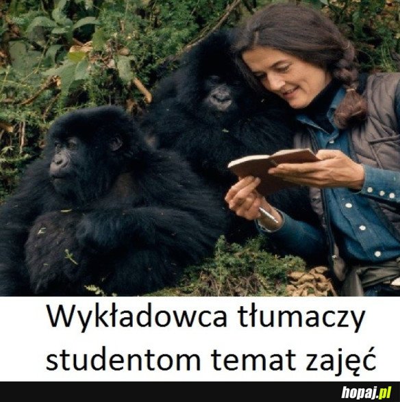 Studenciaki-dzieciaki