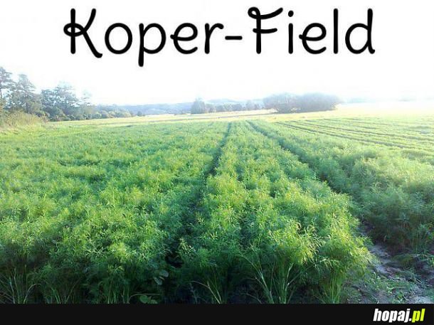 Koperfield 