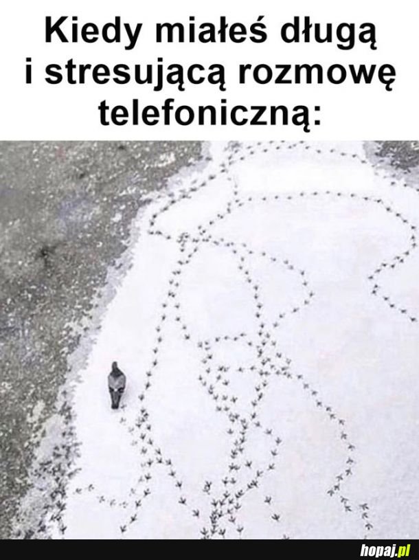 Rozmowa telefoniczna