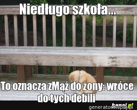 Niedługo szkoła...