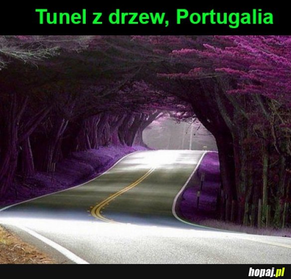 Tunel