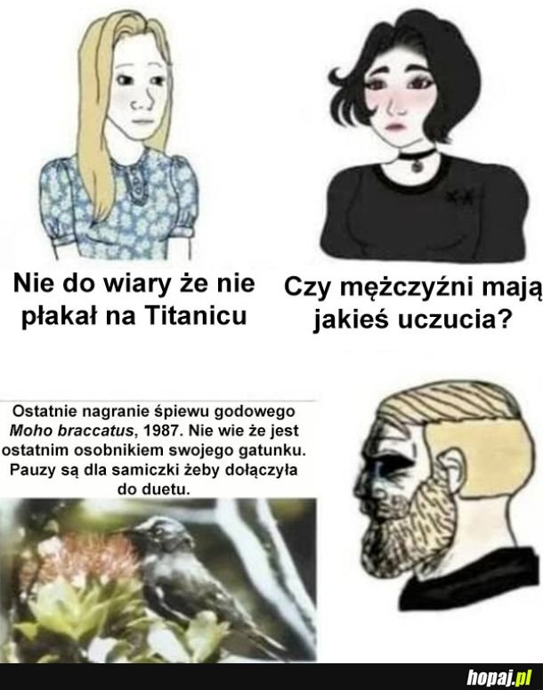 Męskie uczucia