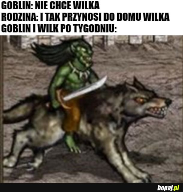 Wilczy jeździec