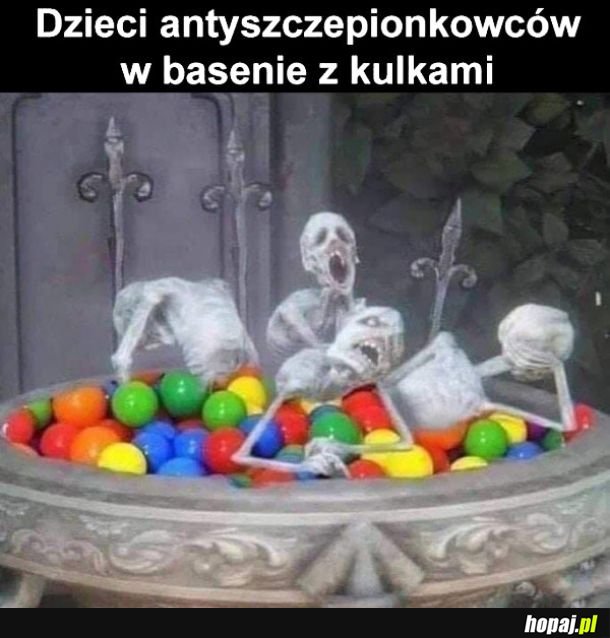 Antyszczepionkowcy