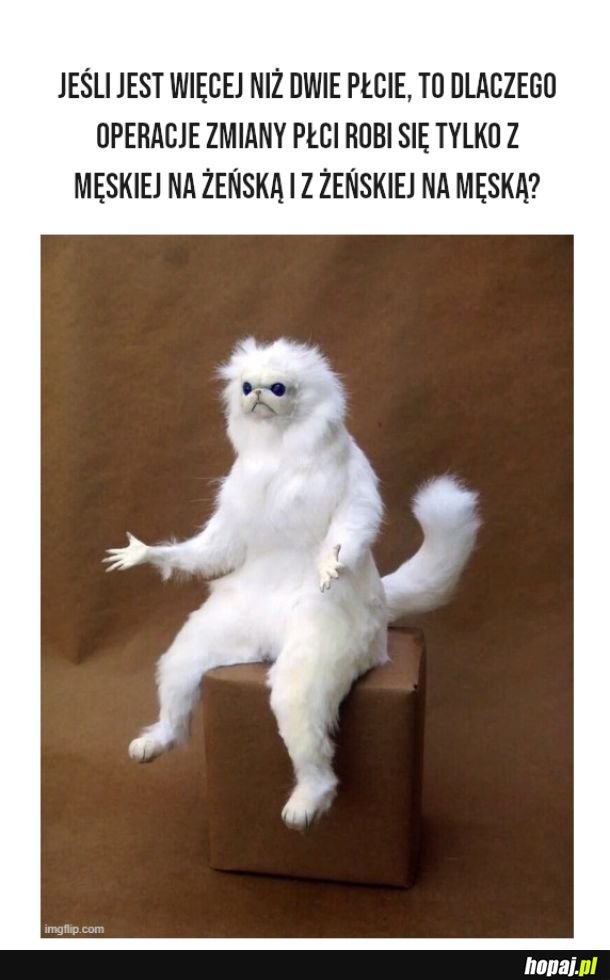 Dlaczego?