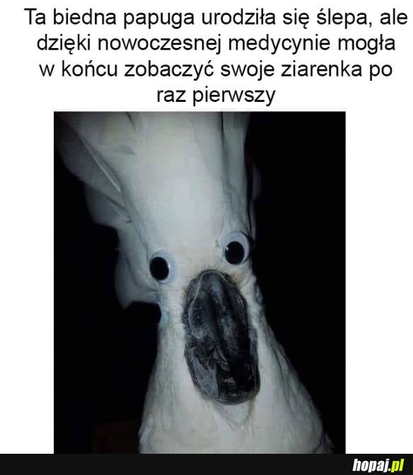 Nowoczesna medycyna