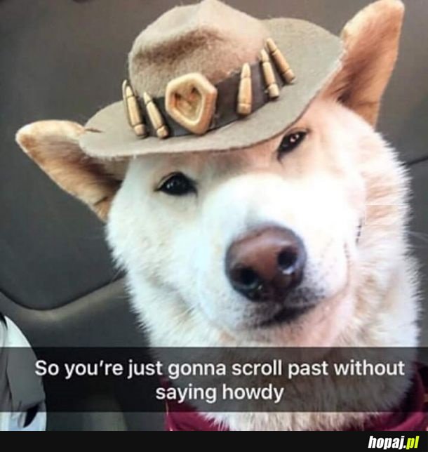 Uszanowanko
