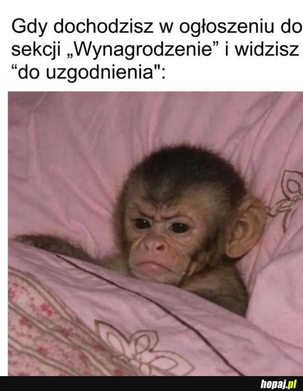 Ogłoszenie