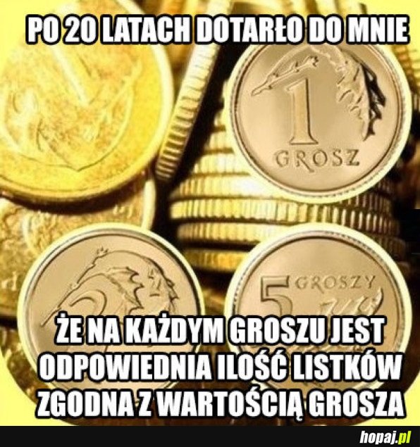 DOPIERO TO ZROZUMIAŁEM