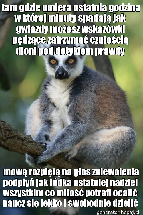  tam gdzie umiera ostatnia godzina w której minuty spadają jak gwiazdy możesz wskazówki pędzące zatrzymać czułością dłoni pod dotykiem prawdy