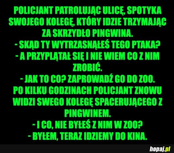 ROZMOWA POLICJANTÓW