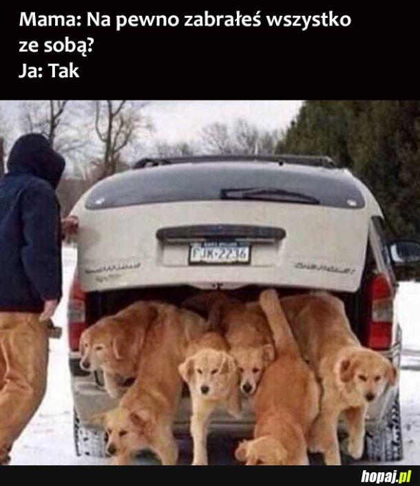 Wszystko mam 