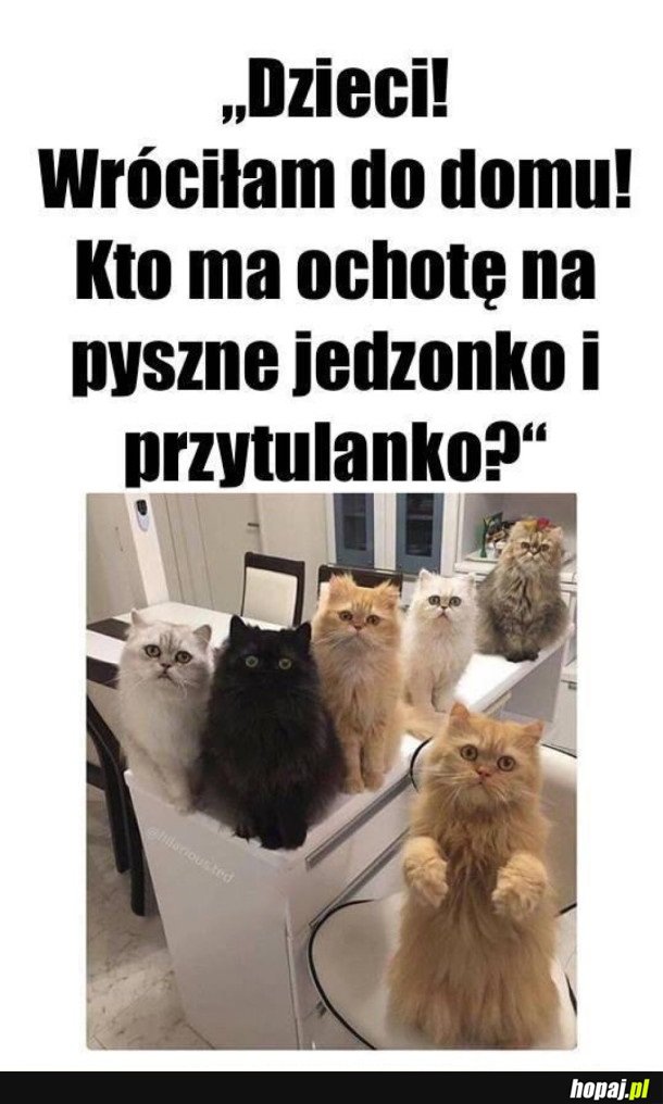 WIECZÓR SILNEJ I NIEZALEŻNEJ