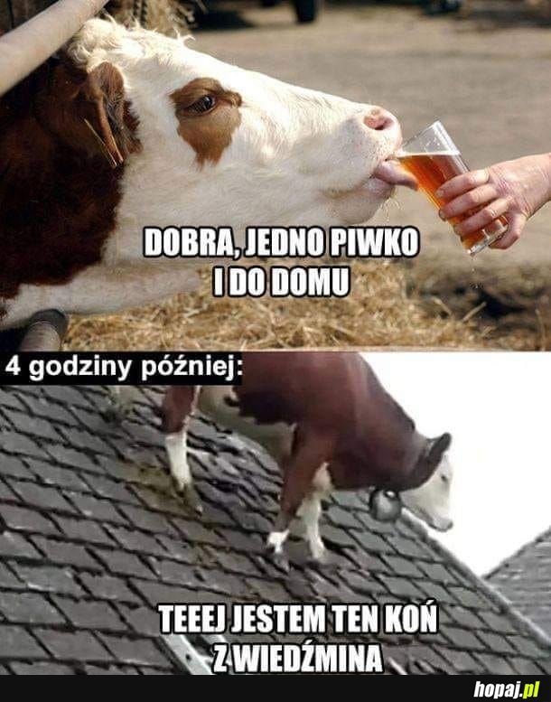 łatka, czy jakoś tak
