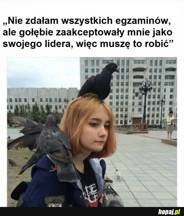 Nowa księżniczka Disneya?