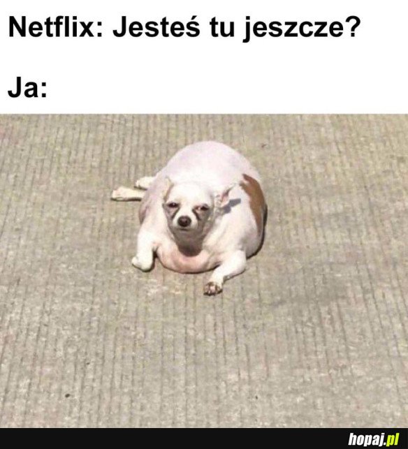 JESTEM, JESTEM