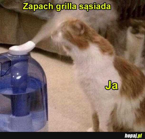 Ale bym zjadł