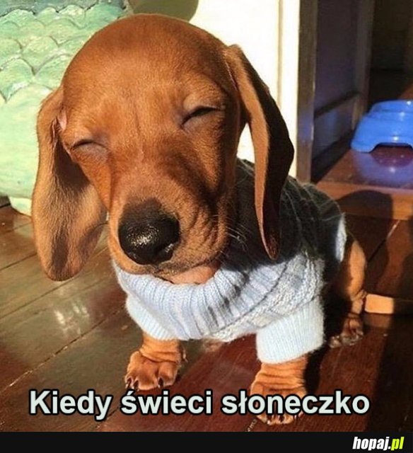 Słoneczko