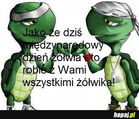 Międzynarodowy dzień żółwia!