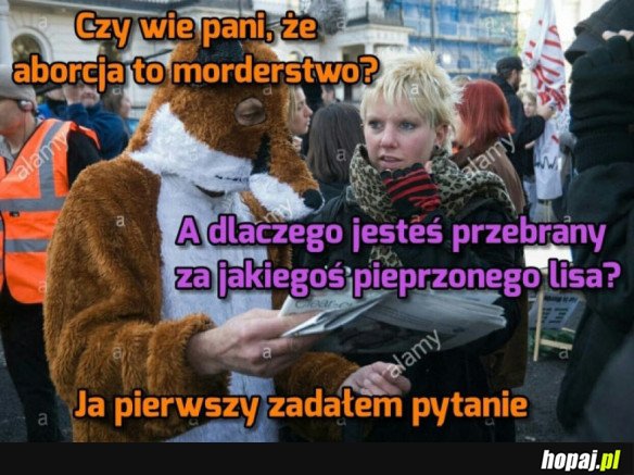 MAJĄ SOBIE SPORO DO POWIEDZENIA
