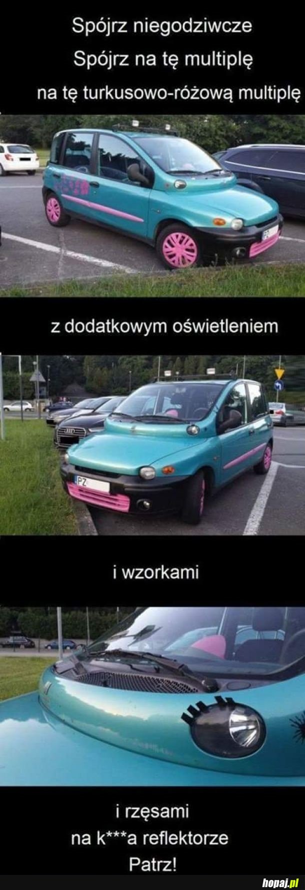 Różowo turkusowa multipla