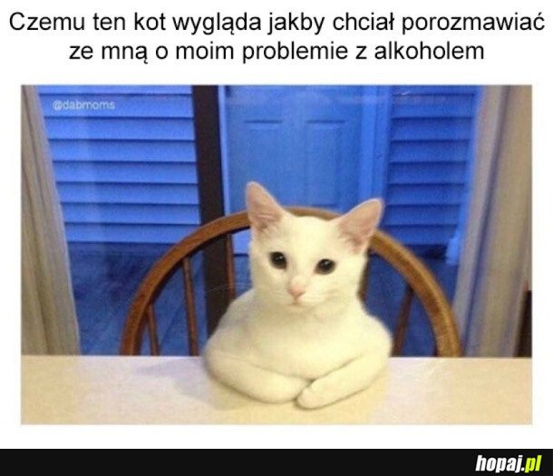 INTERWENCJA