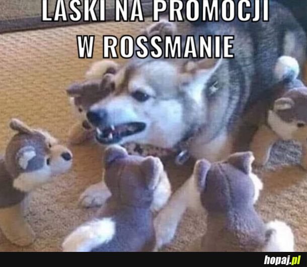 Promocja w Rossmanie 