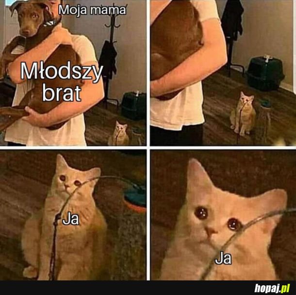 Życiowy mem