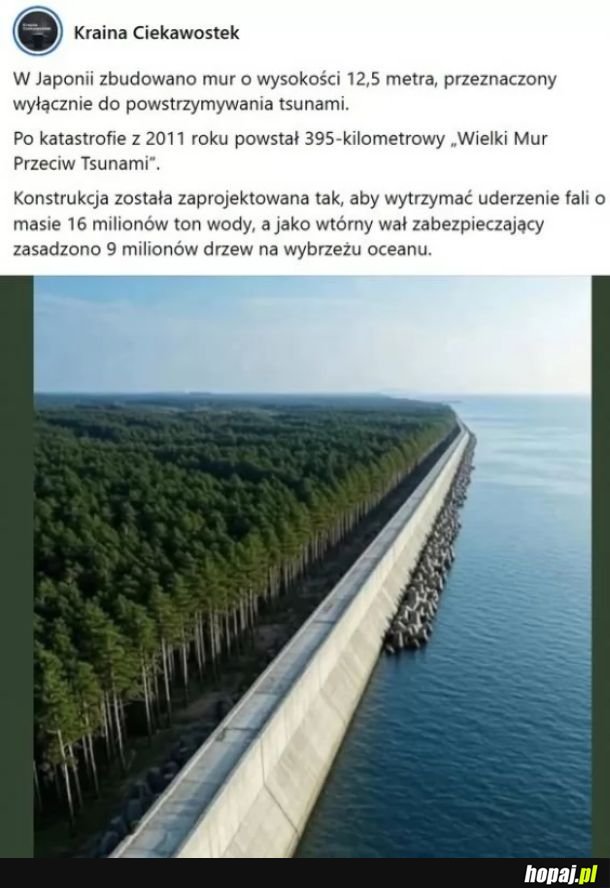 Tsunami pewnie powstrzyma ale Godzilla przelezie