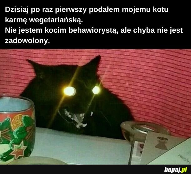Karma wegetariańska