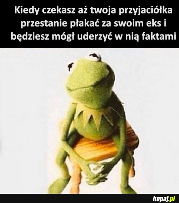 No płacz płacz