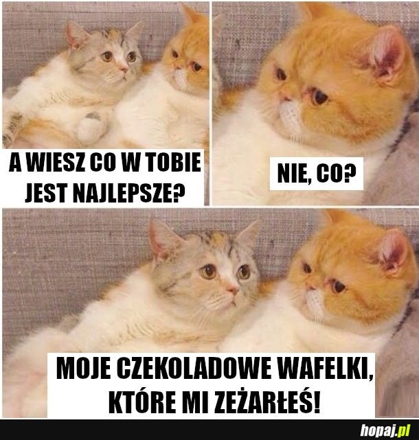 Oto co wiem