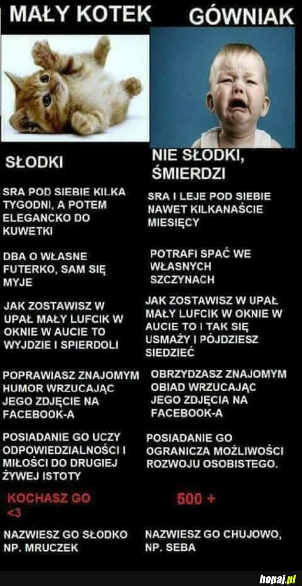 KOTEK CZY DZIECKO