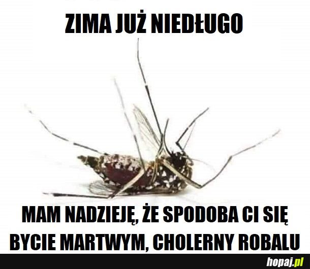 Żegnaj (nareszcie)