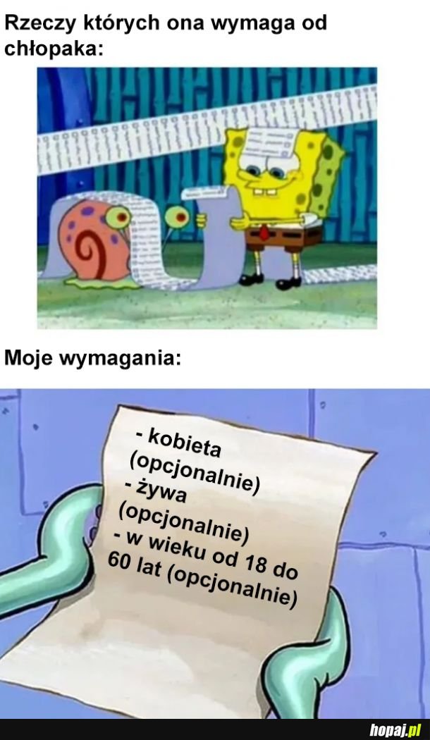 Moje wymagania