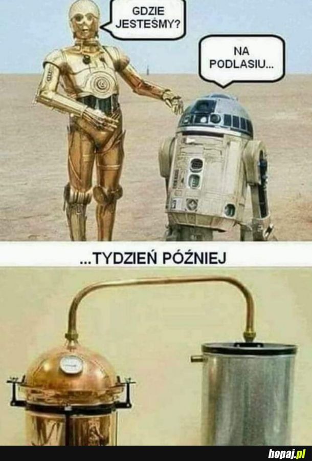 Star Wars vs Podlasie