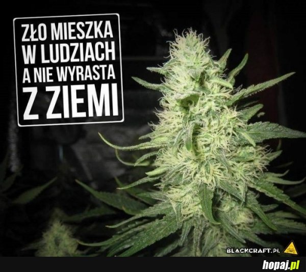 Zło mieszka w ludziach